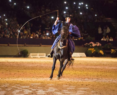 &copy; &copy; Salon du Cheval / Association du Salon du Cheval