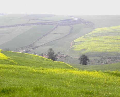 &copy; &copy; panoramio / elakramine, http://www.panoramio.com/user/831427