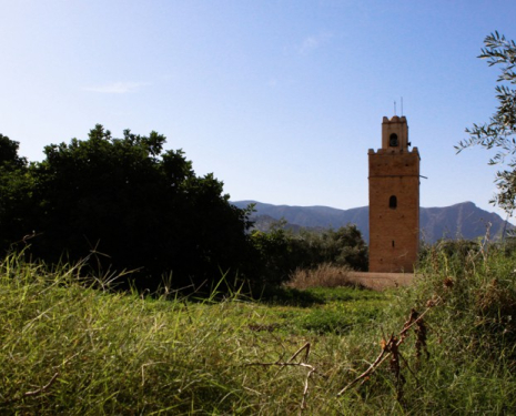 &copy; &copy; discoveringtaourirt.com / Discovering Berkane, Agence de l'Oriental / Discovering Oujda, Agence de l'Oriental