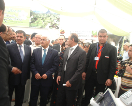 &copy; &copy; festivalamandiers.ma / Association Louz Tafraout, festivalamandiers.ma