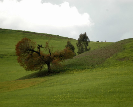 &copy; &copy; panoramio / f.alvarez, http://www.panoramio.com/user/142434