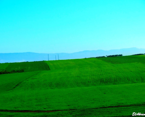 &copy; &copy; panoramio / elakramine, http://www.panoramio.com/user/831427