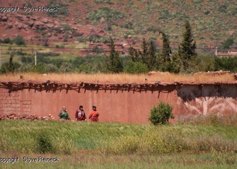 &copy; &copy; panoramio / Styve Reineck, http://www.panoramio.com/user/240236