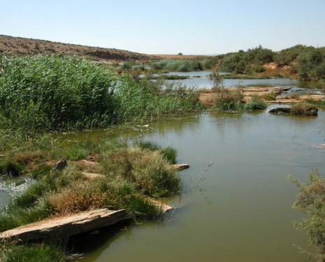 &copy; &copy; panoramio / Ben de Graaf Bierbrauwer, http://www.panoramio.com/user/1138231