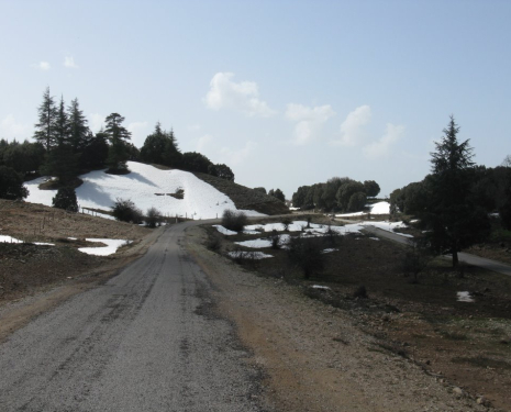 &copy; &copy; panoramio / elakramine, http://www.panoramio.com/user/831427