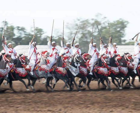 &copy; &copy; Salon du Cheval / Association du Salon du Cheval