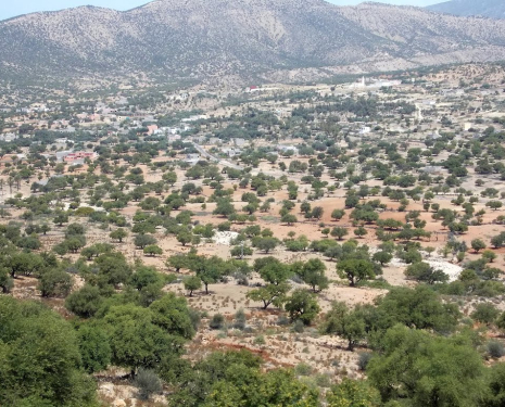 &copy; &copy; panoramio / vom Thüringer, http://www.panoramio.com/user/2742393