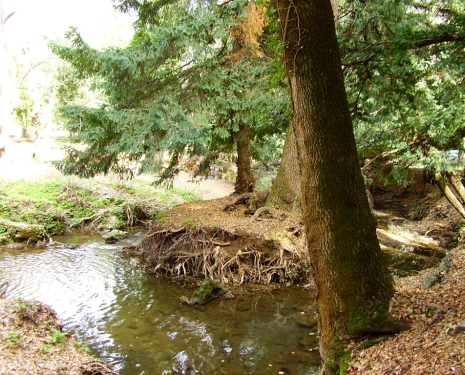 &copy; &copy; panoramio / elakramine, http://www.panoramio.com/user/831427