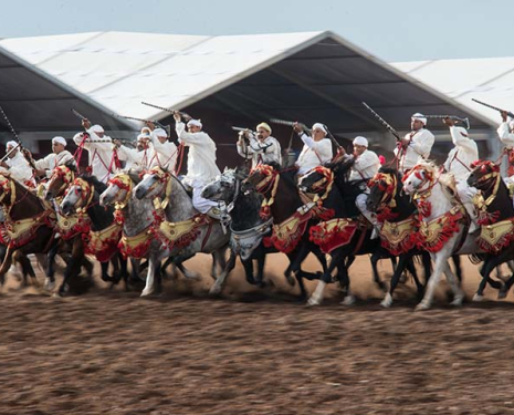 &copy; &copy; Salon du Cheval / Association du Salon du Cheval
