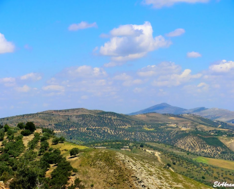 &copy; &copy; panoramio / elakramine, http://www.panoramio.com/user/831427