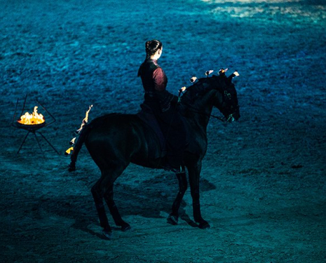 &copy; &copy; Salon du Cheval / Association du Salon du Cheval