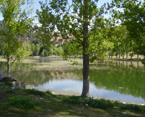 &copy; &copy; panoramio / elakramine, http://www.panoramio.com/user/831427