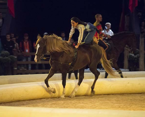 &copy; &copy; Salon du Cheval / Association du Salon du Cheval