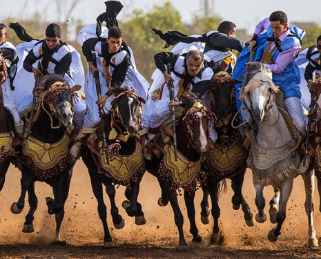 &copy; &copy; Salon du Cheval / Association du Salon du Cheval