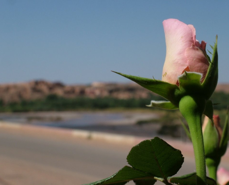 &copy; &copy; panoramio / Andrej Pau?i?, http://www.panoramio.com/user/801748