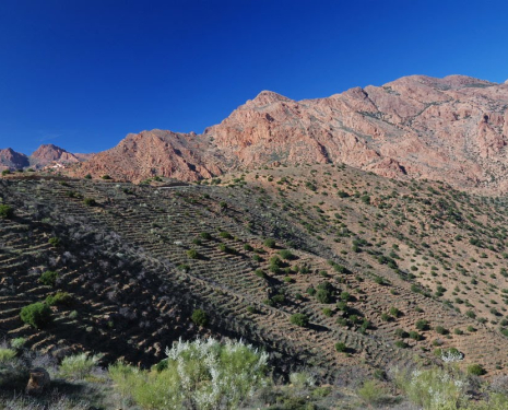 &copy; &copy; panoramio / @mabut, http://www.panoramio.com/user/232099