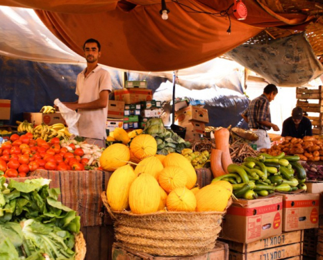 &copy; &copy; discoveringberkane.com / Discovering Berkane, Agence de l'Oriental