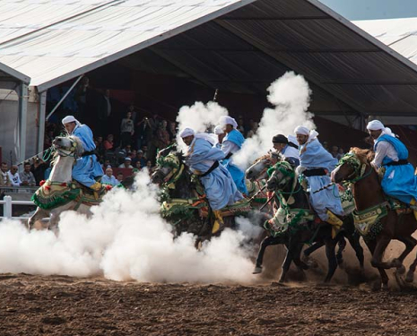 &copy; &copy; Salon du Cheval / Association du Salon du Cheval