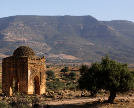 &copy; &copy; discoveringtaourirt.com / Discovering Berkane, Agence de l'Oriental / Discovering Oujda, Agence de l'Oriental