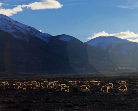 &copy; &copy; panoramio / @mabut, http://www.panoramio.com/user/232099