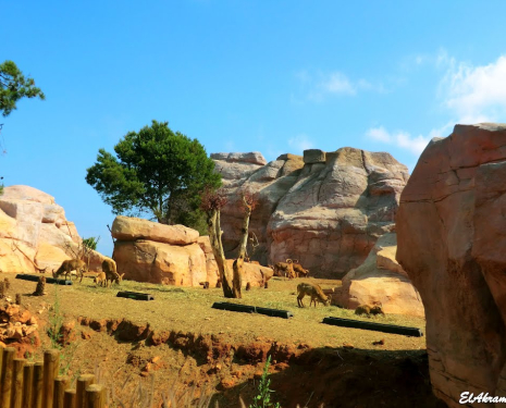 &copy; &copy; panoramio / elakramine, http://www.panoramio.com/user/831427