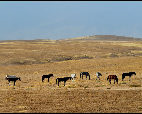 &copy; &copy; panoramio / JiPR, http://www.panoramio.com/user/3587709