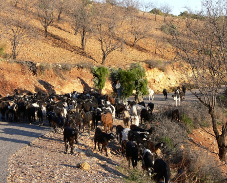 &copy; &copy; panoramio / Naru Kenji, http://www.panoramio.com/user/1310638