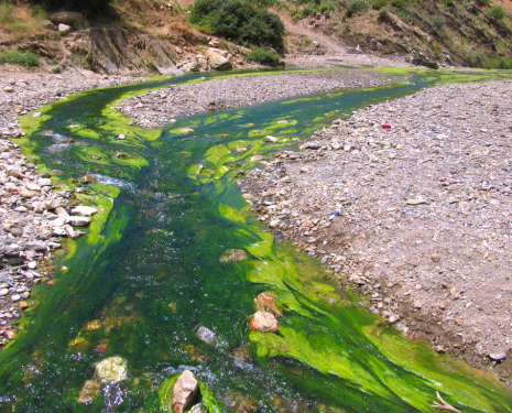 &copy; &copy; panoramio / Tomás Paz, http://www.panoramio.com/user/1116880