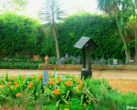 &copy; &copy; panoramio / elakramine, http://www.panoramio.com/user/831427