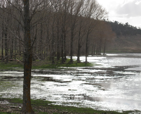 &copy; &copy; panoramio / elakramine, http://www.panoramio.com/user/831427