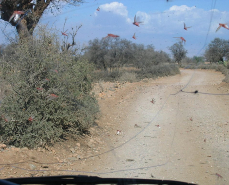 &copy; &copy; panoramio / HEBRARD, http://www.panoramio.com/user/714594