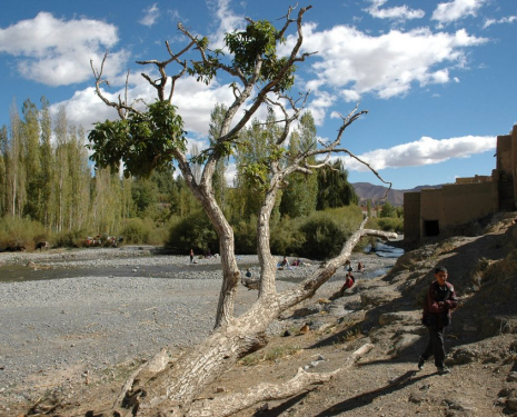 &copy; &copy; panoramio / Laurent Bois-Mariage, http://www.panoramio.com/user/158799