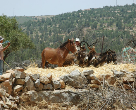 &copy; &copy; panoramio / Ben de Graaf Bierbrauwer, http://www.panoramio.com/user/1138231