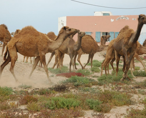 &copy; &copy; panoramio / Ben de Graaf Bierbrauwer, http://www.panoramio.com/user/1138231