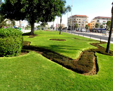 &copy; &copy; panoramio / elakramine