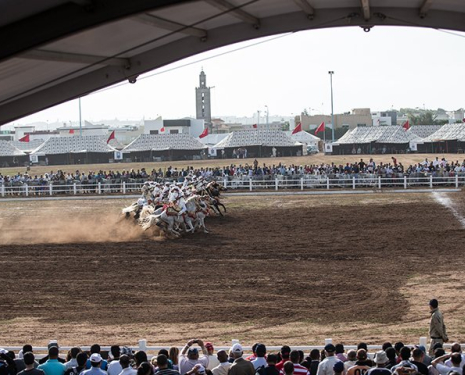 &copy; &copy; Salon du Cheval / Association du Salon du Cheval