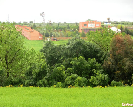 &copy; &copy; panoramio / elakramine, http://www.panoramio.com/user/831427