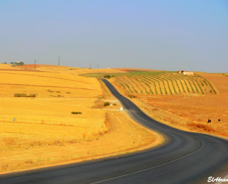 &copy; &copy; panoramio / elakramine, http://www.panoramio.com/user/831427