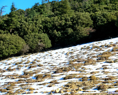 &copy; &copy; panoramio / elakramine, http://www.panoramio.com/user/831427