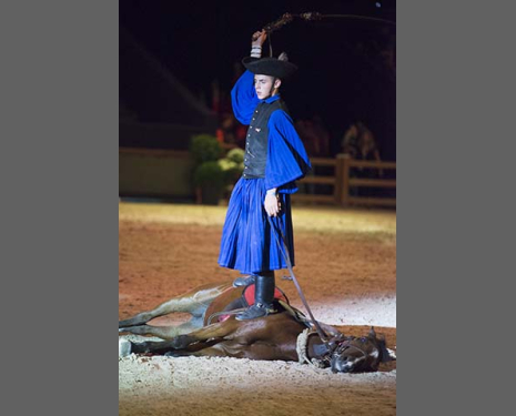 &copy; &copy; Salon du Cheval / Association du Salon du Cheval