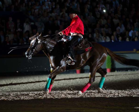&copy; &copy; Salon du Cheval / Association du Salon du Cheval