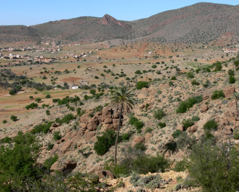 &copy; &copy; panoramio / Naru Kenji, http://www.panoramio.com/user/1310638