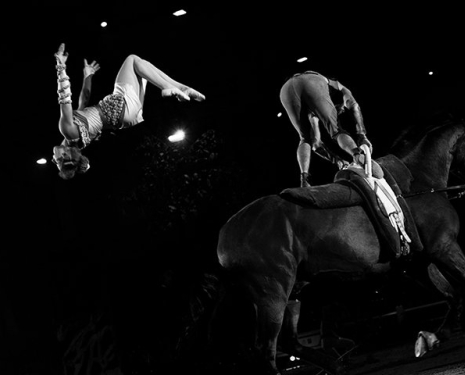 &copy; &copy; Salon du Cheval / Association du Salon du Cheval