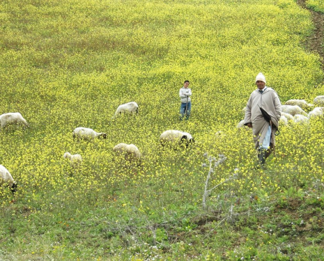 &copy; &copy; panoramio / f.alvarez, http://www.panoramio.com/user/142434