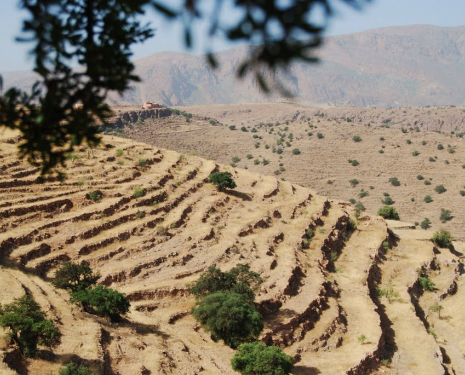 &copy; &copy; panoramio / il medico, http://www.panoramio.com/user/4169077