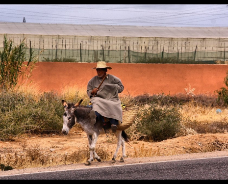 &copy; &copy; panoramio / kiismeri, http://www.panoramio.com/user/6103927