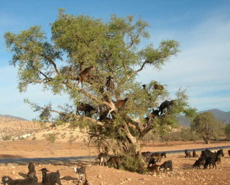 &copy; &copy; panoramio / Shustikov, http://www.panoramio.com/user/75902