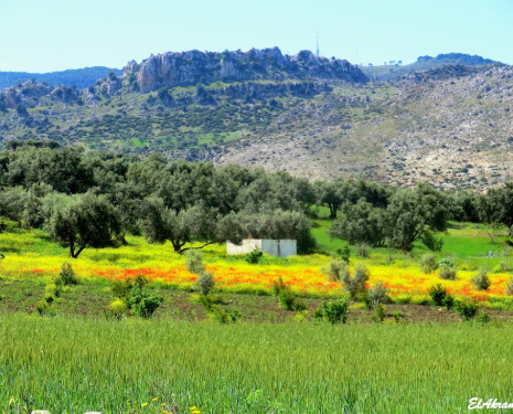 &copy; &copy; panoramio / elakramine, http://www.panoramio.com/user/831427