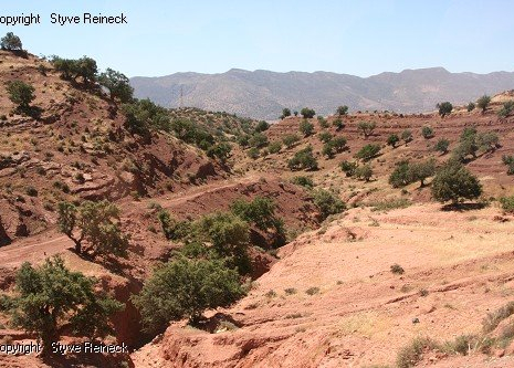 &copy; &copy; panoramio / Styve Reineck, http://www.panoramio.com/user/240236