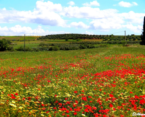 &copy; &copy; panoramio / elakramine, http://www.panoramio.com/user/831427